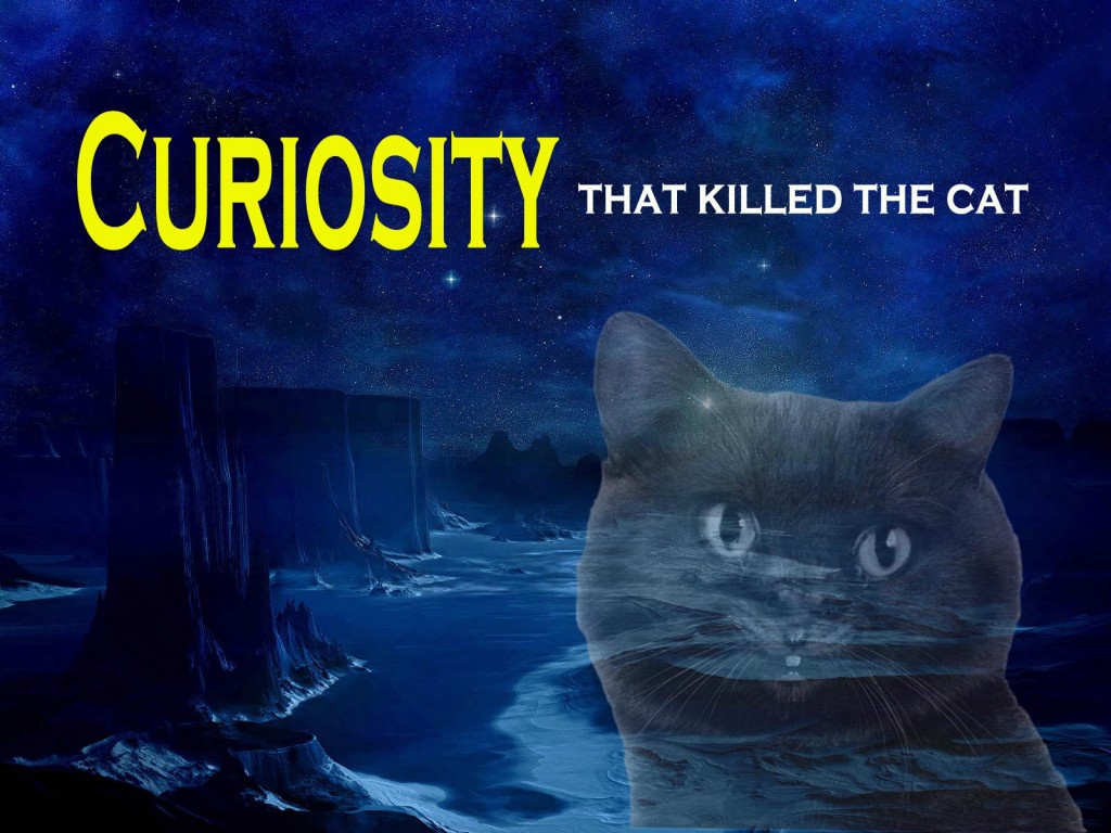 Curiosity Killed The Cat Po Polsku Curiosity that killed the Cat - Guest Speaker